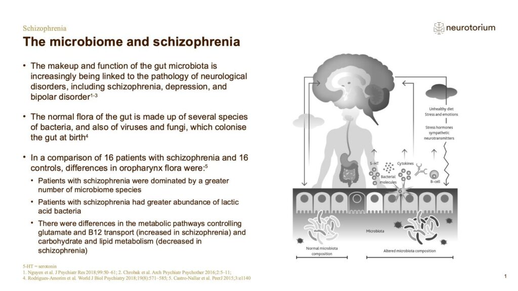 Schizophrenia - Neurobiology and Aetiology - slide 39